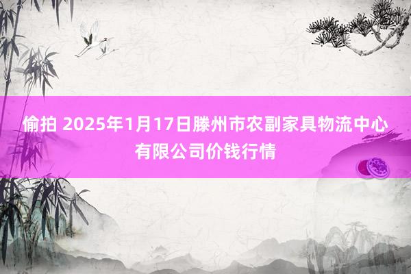 偷拍 2025年1月17日滕州市农副家具物流中心有限公司价钱行情